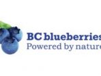 Studies Have Shown That BC Frozen Blueberries Have More Advantages in Health Than Fresh Berries