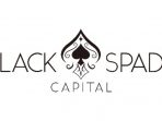 Black Spade Capital Announces Acquisition of iRad Medical Holding