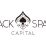 Media OutReach - Black Spade Capital