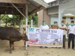 Kades Betung : Terimakasih PT Musim Mas atas Bantuan Hewan Qurban yang Disalurkan