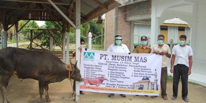 Kades Betung : Terimakasih PT Musim Mas atas Bantuan Hewan Qurban yang Disalurkan