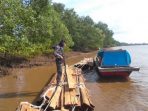 Polda Riau Tangkap Dua Pembawa Kayu Ilegal