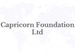 Capricorn Enters Partnership with Bibox in SEA Market