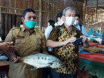 Survey Lokasi Pembangunan Pelabuhan IFM di Bagansiapiapi, Konsultan Jepang Merasa Puas