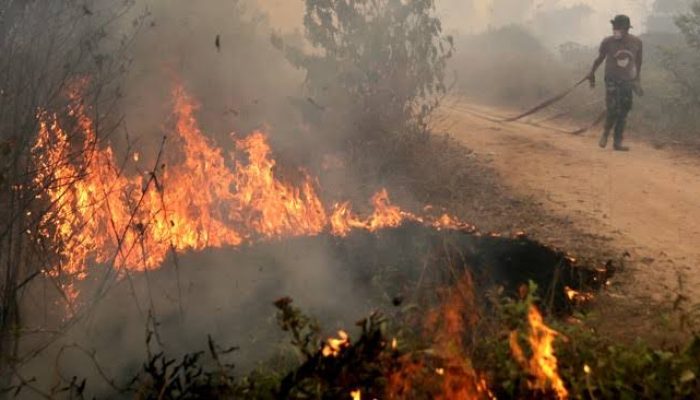 94 Hotspot Tersebar di Sumatera Sore ini, 5 Titik di Riau