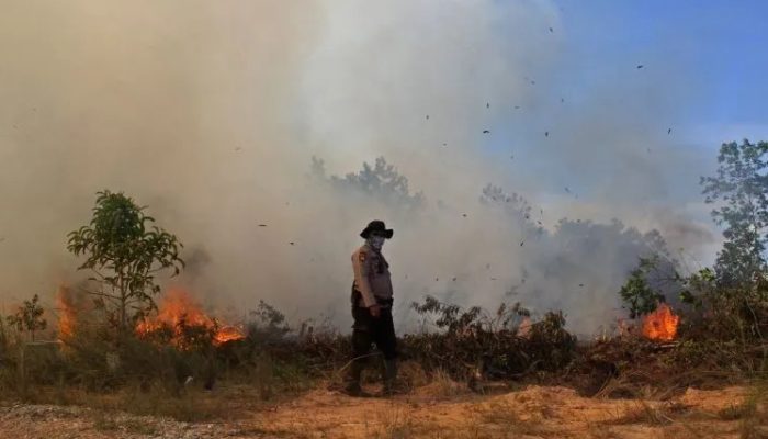 Mendagri Tito Karnavian Instruksikan Kepala Daerah Siaga Hadapi Potensi Karhutla