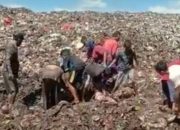 Viral Warga Berebut Daging Kerbau Impor di Tempat Sampah, Bea Cukai Buka Suara