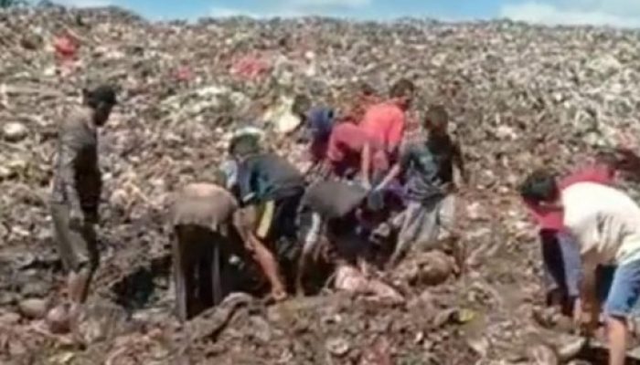 Viral Warga Berebut Daging Kerbau Impor di Tempat Sampah, Bea Cukai Buka Suara