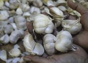 Terungkap! Ini Penyebab RI Impor Bawang Putih Melulu