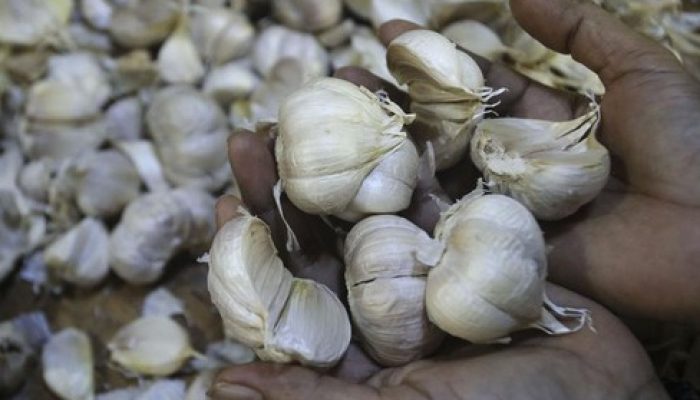 Terungkap! Ini Penyebab RI Impor Bawang Putih Melulu