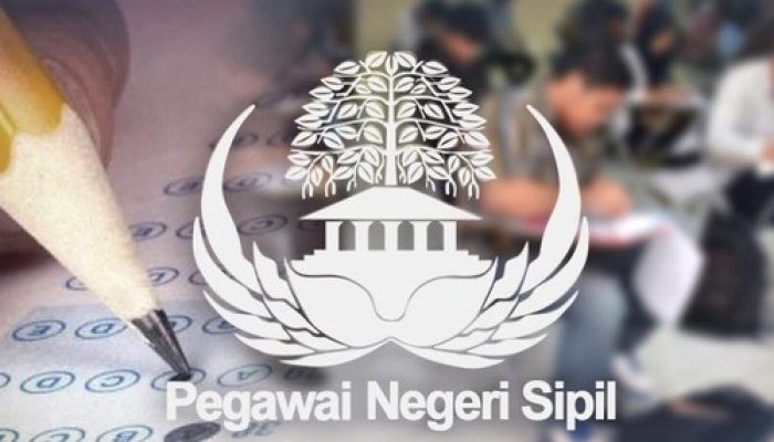 Lowongan CPNS 2023 Terancam Tak Dibuka Jika Persiapan Mepet Pemilu