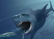 Megalodon Masih Hidup? Begini Faktanya