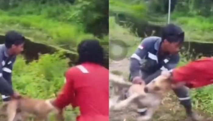 Aksi 3 Pria Lempar Anjing Hidup Hingga Diterkam Buaya Viral di Medsos