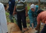 Idul Adha 2023: Hj Yanti Komala Sari Salurkan Hewan Kurban di Beberapa Masjid Dumai