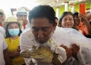 Tak Biasa! Wali Kota di Meksiko Menikahi Buaya