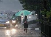 Waspada, Hujan dan Angin Kencang Diprediksi Landa Pekanbaru dan Sekitar