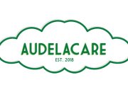 Audelacare Unveils Next-Gen One-Push Walking Stick for Effortless Mobility in the Elderly