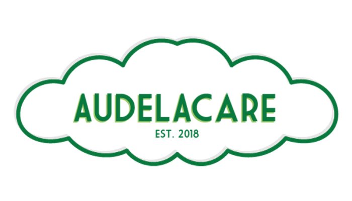 Audelacare Unveils Next-Gen One-Push Walking Stick for Effortless Mobility in the Elderly