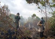 Babinsa Teluk Makmur Laksanakan Pendingan Karhutla