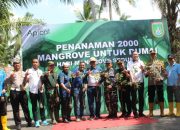 Apical Dumai Lakukan Aksi Penanaman 2.000 Mangrove di Pantai Taisan