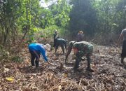 Upaya Dukung Ketahanan Pangan, ini yang Dilakukan Babinsa Bukit Datuk