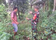 Babinsa Bukit Datuk Patroli Jaga Keamanan Hutan dan Lahan