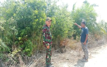 Babinsa Tanjung Palas Bersama Tim Lakukan Patroli di Titik Rawan Kebakaran