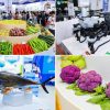 Over 2,000 Enterprises Worldwide Join China (Hainan) International Trade Fair for Tropical Agricultural Products