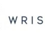 WRISE Group Appoints Chen Jingwei as Regional Chief Investment Officer