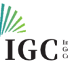 AI Drives Significant Revenue Growth for IGC