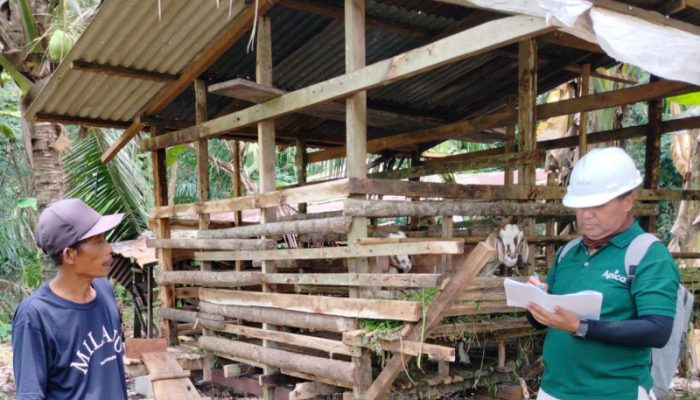 Apical Dumai Komitmen Beri Pendampingan untuk Kembangkan Budidaya Ternak