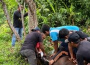 Dinkes Berkurban Tiga Ekor Sapi pada Idul Adha 1446 H
