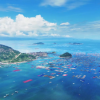 “Dong Yuhui’s Fujian Journey: The Sea’s Lesson