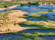 Ordos Menjadi Mercusuar Harapan Hijau Dunia