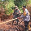7 hektare lahan gambut di kampar te