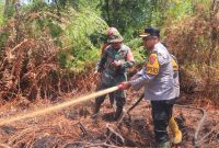 7 Hektare Lahan Gambut di Kampar Terbakar, Pemilik Masih Misteri