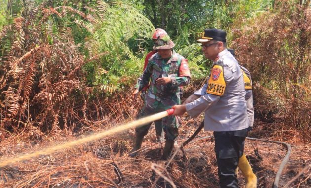 7 Hektare Lahan Gambut di Kampar Terbakar, Pemilik Masih Misteri