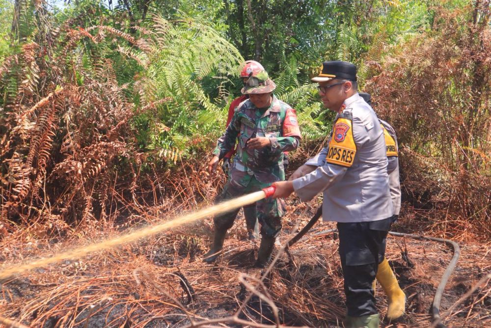 7 hektare lahan gambut di kampar te