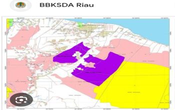 Satgas PKH Diminta Meringkus dan Jebloskan Ke Penjara Perambah Kawasan Hutan TWA Sungai Dumai