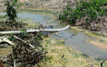 Sembang-Sembang Bersama Datuk Bandar Bakau, Sejak Musim Pilkada 2019 LSM PAB Ditinggal Kereta AMDAL
