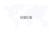 1756496257 SIBUR