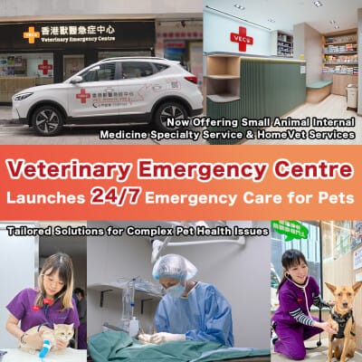 661397 Eng ver 4 jpg