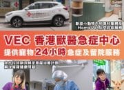 Veterinary Emergency Centre Luncurkan Layanan Darurat 24/7 dan Spesialisasi Pengobatan Internal Hewan Kecil serta Layanan HomeVet