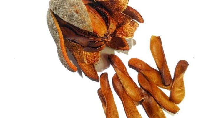 Manfaat Buah Mahoni untuk Alat Vital Pria: Fakta, Risiko, dan Efek Samping