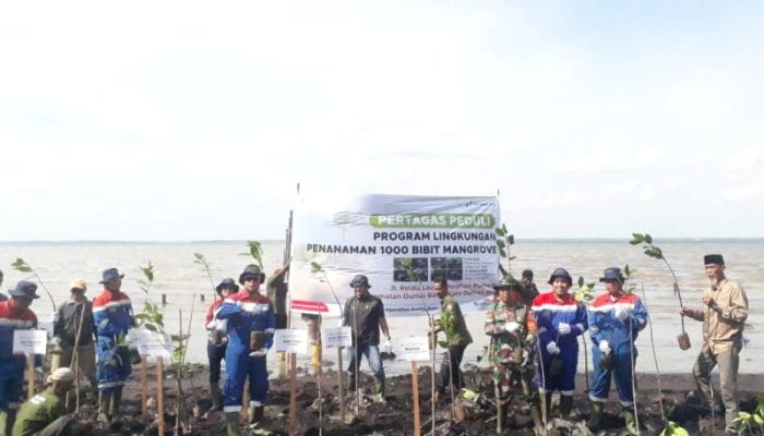 Pertagas Wujudkan Kepedulian Lingkungan dengan Penanaman Mangrove di Dumai Barat