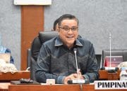 Wakil Ketua Komisi II DPR RI Dede Yusuf Macan Effendi. (Foto: detikcom)