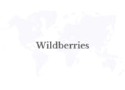 Wildberries launches ESG platform for charitable, environmental projects