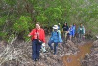 Bersama YKAN, Pemdes Kembung Luar Wujudkan Mimpi Hutan Mangrove Jadi Objek Wisata dan Sumber Ekonomi Masyarakat