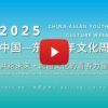 2025 China-ASEAN Youth Culture Week Successfully Held