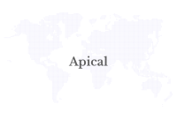 Apical Joins Industry Leaders to Launch Aceh Sustainable Palm Oil Working Group